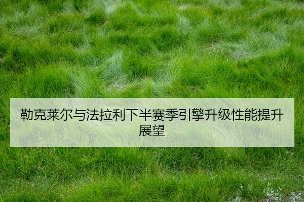 lei-ke-lai-er-yu-fa-la-li-xia-ban-sai-ji-yin-qing-sheng-ji-xing-neng-ti-sheng-zhan-wang-2-791.jpg