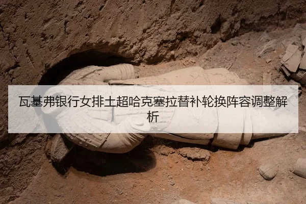 wa-ji-fu-yin-hang-nv-pai-tu-chao-ha-ke-sai-la-ti-bu-lun-huan-zhen-rong-tiao-zheng-jie-xi-2-499.jpg