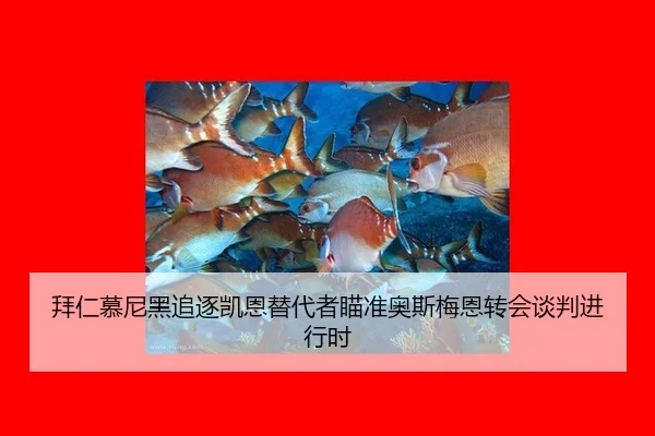 bai-ren-mu-ni-hei-zhui-zhu-kai-en-ti-dai-zhe-miao-zhun-ao-si-mei-en-zhuan-hui-tan-pan-jin-xing-shi-2-188.jpg